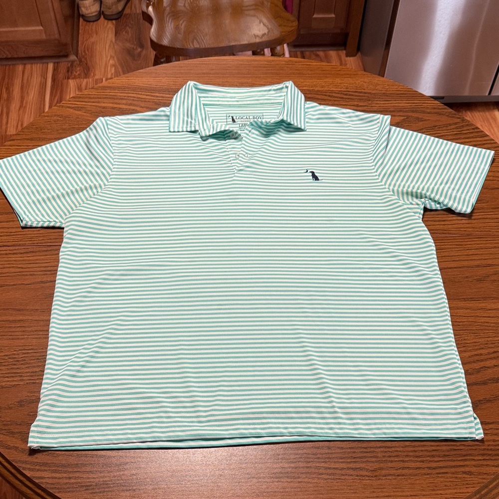 Local Boy Outfitters Men's Mint Striped Polo Shirt